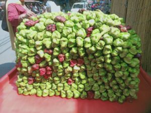 मार्केट मैं आ गया है सिंघाड़ा Water Chestnut ! वेट लॉस से लेकर चेहरे को गोरा और खूबसूरत 
