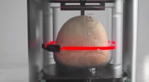 यदि भी घर पर ब्रेड बनाना चाहते हैं तो ले लिए जापानी टेक्नोलॉजी पर बना बेहतरीन Sharp Atta and Bread Maker, जिसमें आप ब्राउन ब्रेड, नॉर्मलब्रेड, Millet ब्रेड, और मीठा ब्रेड जैसे कई प्रकार के ब्रेड बन सकते हैं वह भी मात्र 8750 की शुरुआती कीमत के साथ :-